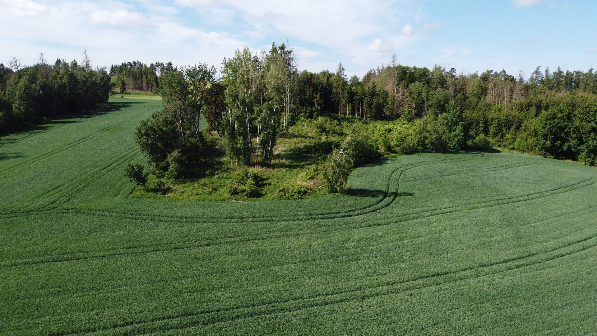 Ostatní, Kundratice, 18 m²