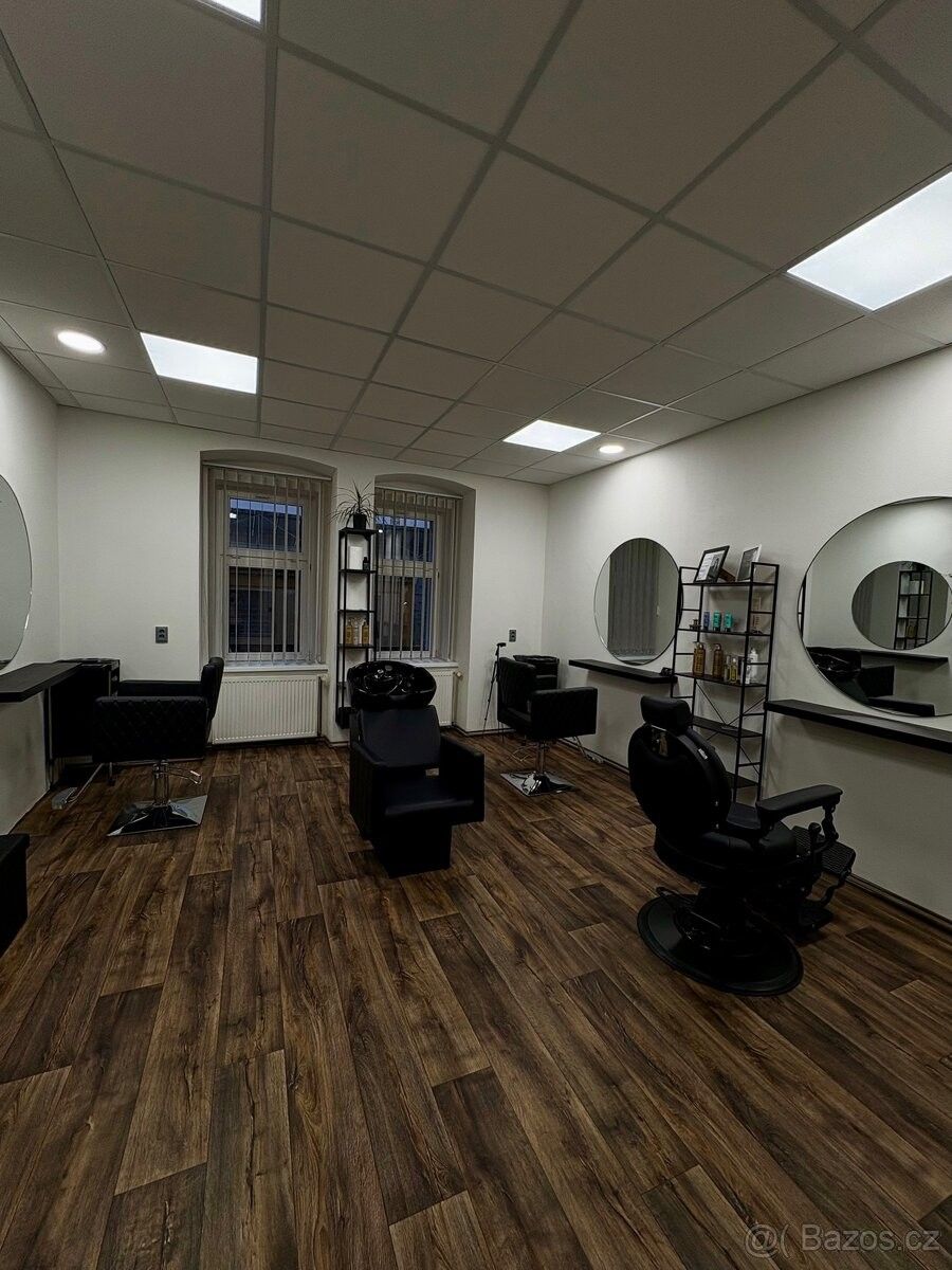 Obchodní prostory, Plzeň, 301 00