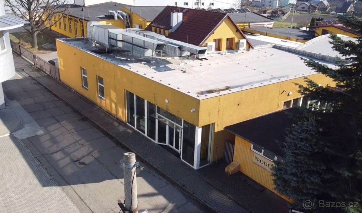 Obchodní prostory, Opava, 746 01 - 2