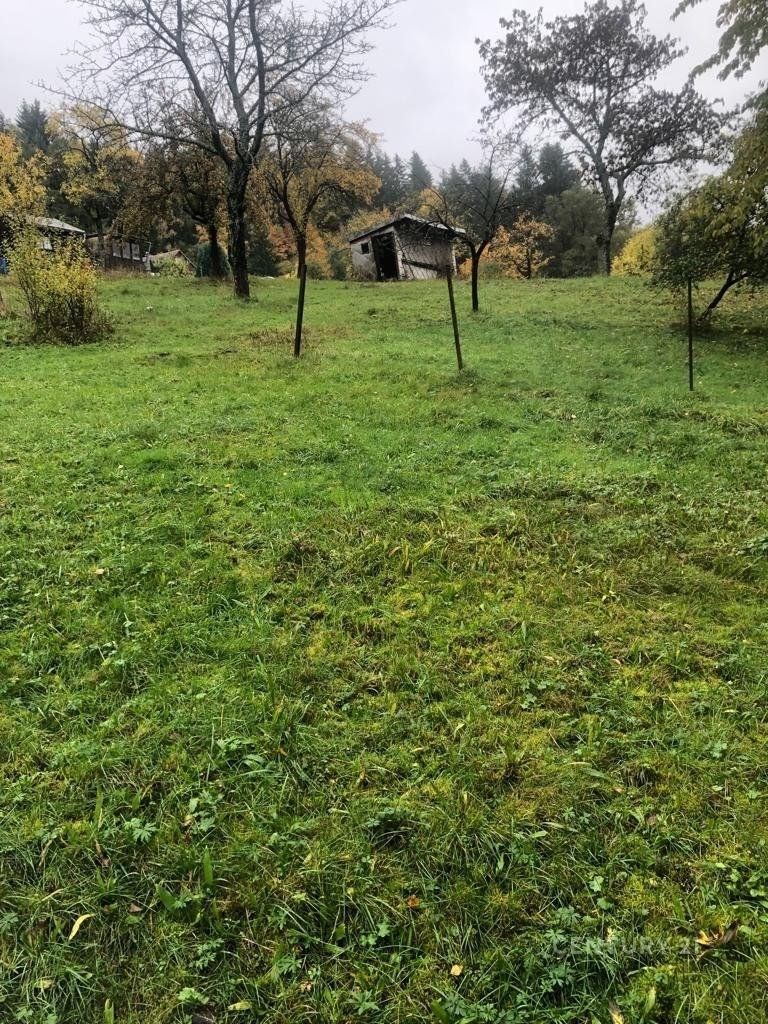 Prodej pozemek pro bydlení - Tanvald