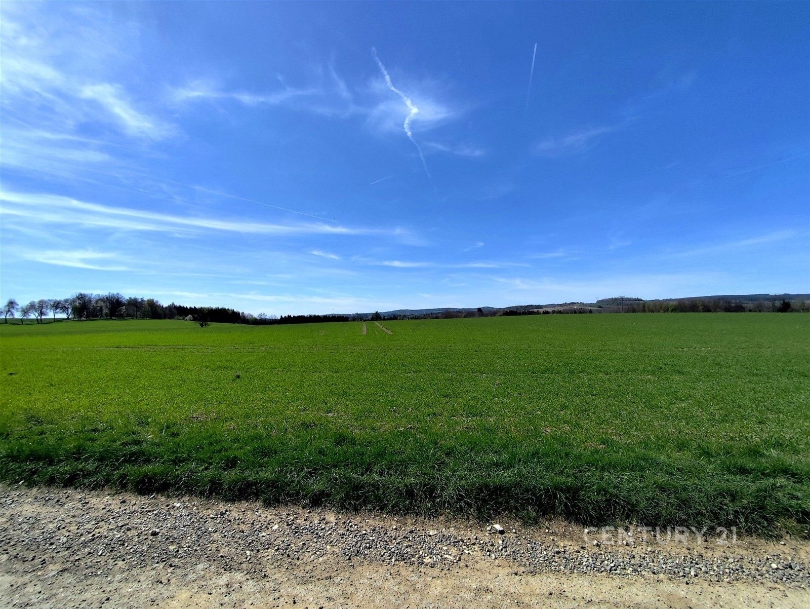 Prodej zemědělský pozemek - Nová Včelnice - 2