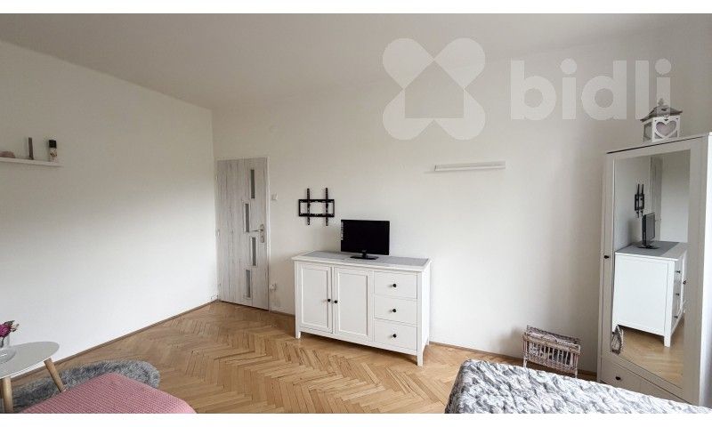 Prodej byt 1+1 - Střekovské nábřeží 1159, Ústí nad Labem Střekov, 40 m² - 5