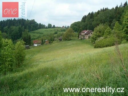 Zemědělský pozemek · 8 000 m² · Malé Svatoňovice - 3