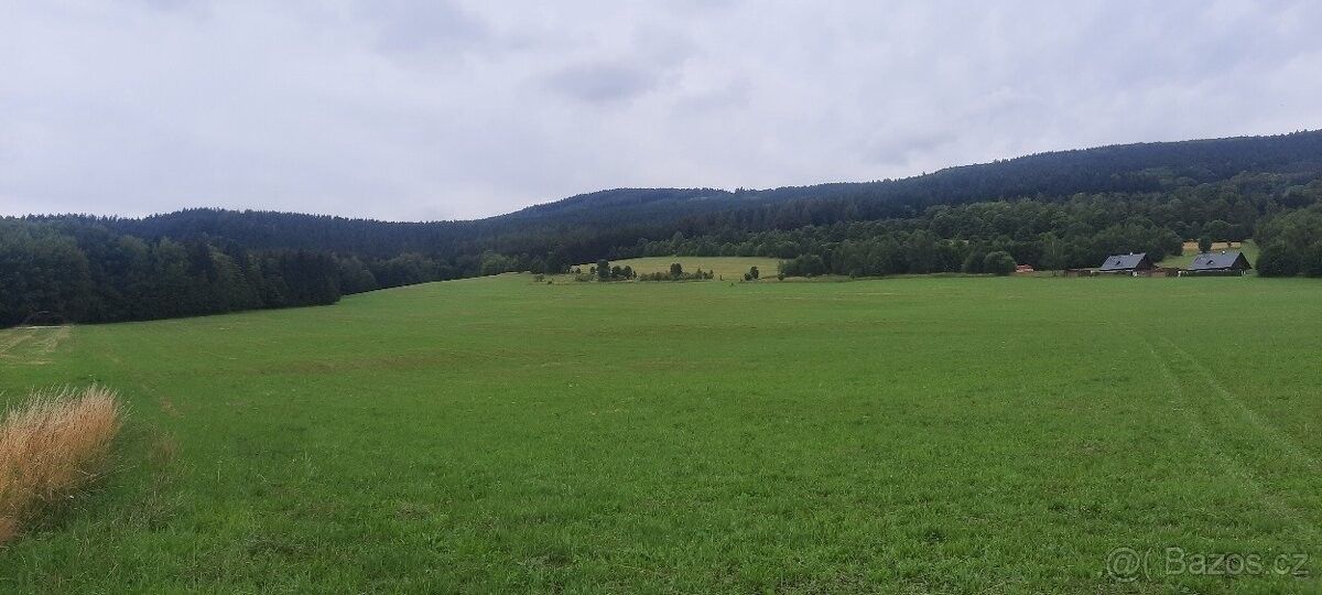 Prodej pozemek - Deštné v Orlických horách, 517 91, 1 000 m²