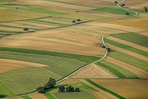 Zemědělské pozemky, Stráž nad Nežárkou, 378 02, 22 900 m²