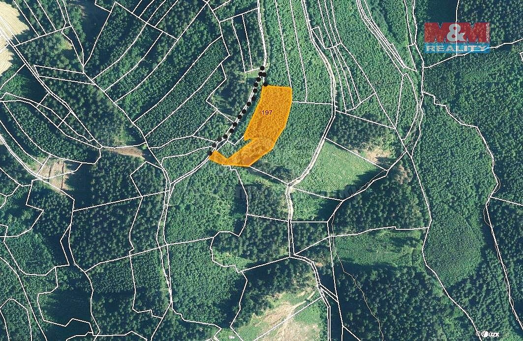 Les · Lhota u Vsetína, okres Vsetín, Zlínský kraj - 3