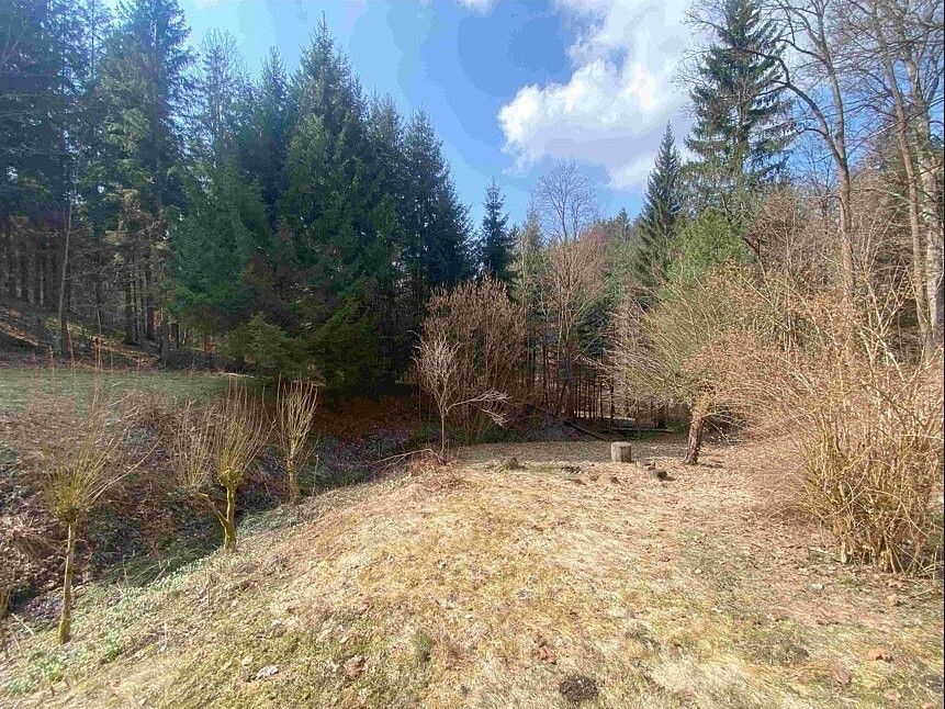 Prodej zahrada - Pěčín, okres Rychnov nad Kněžnou, Královéhradecký kraj - 1