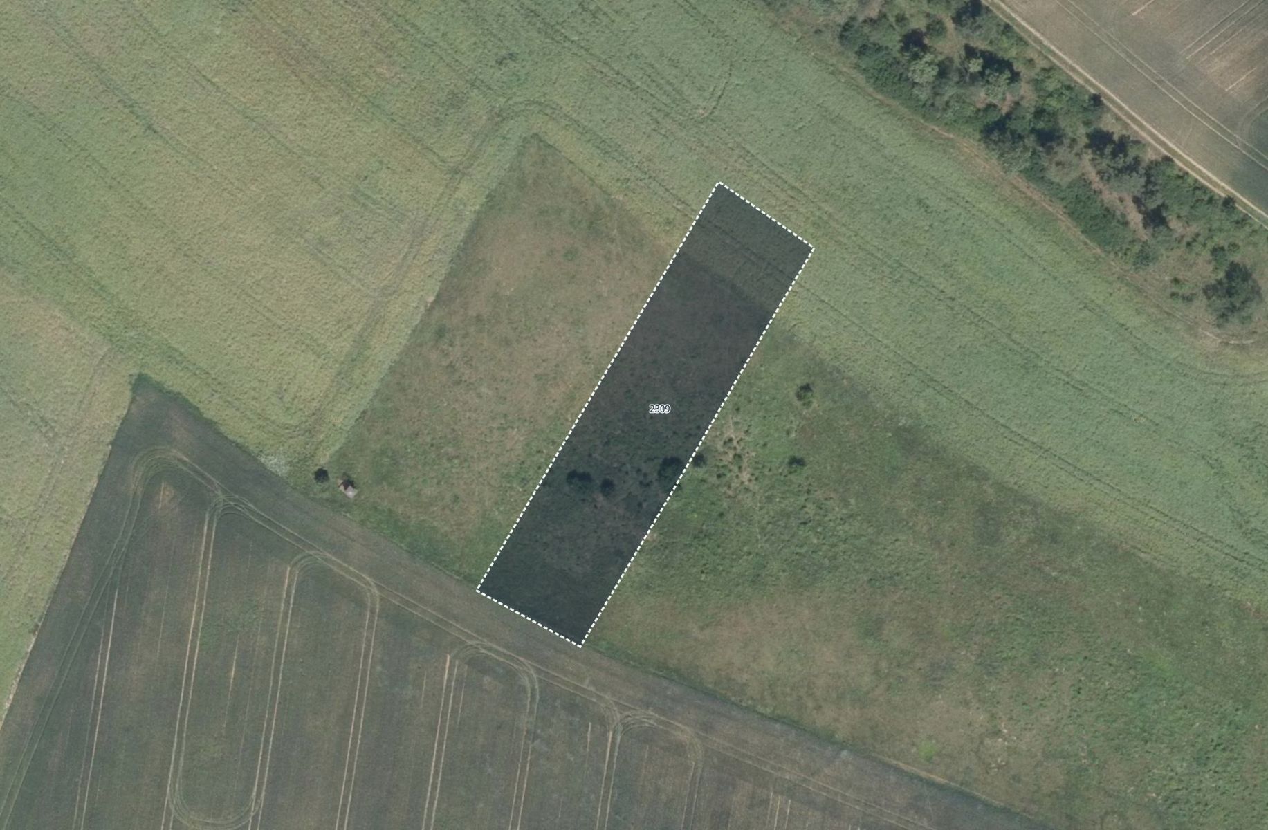 Prodej zemědělský pozemek - Plumlov