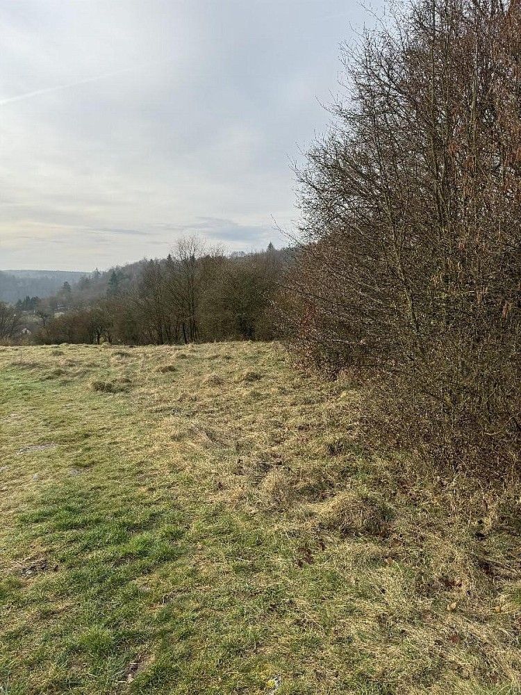Pozemek, 3 678 m²