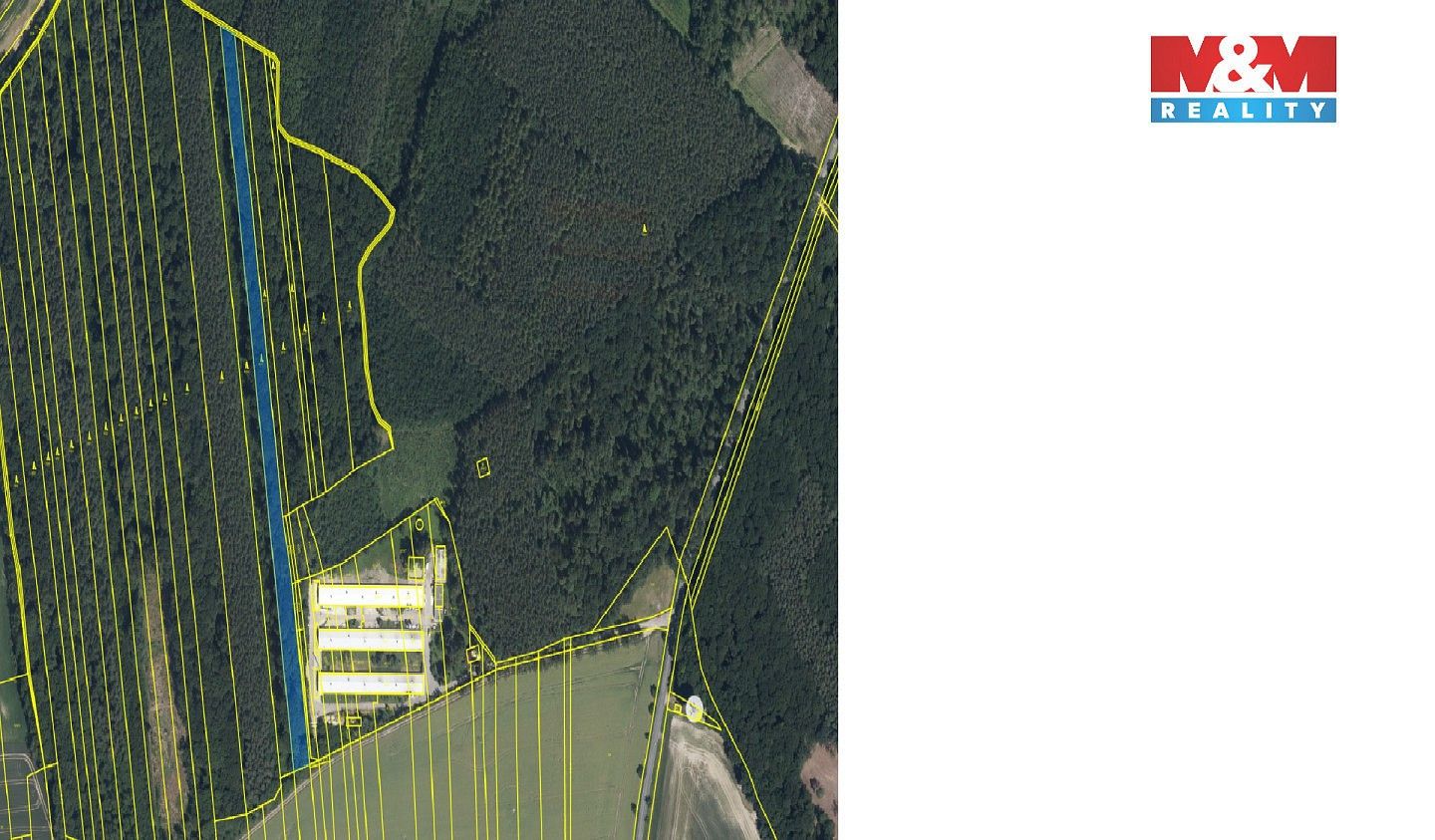 Les · Městec Králové, okres Nymburk, Středočeský kraj - 3