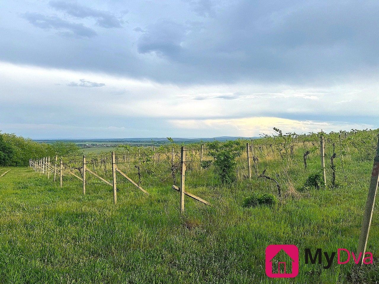 Zemědělský pozemek · Nový Šaldorf-Sedlešovice - Nový Šaldorf, okres Znojmo, Jihomoravský kraj - 3