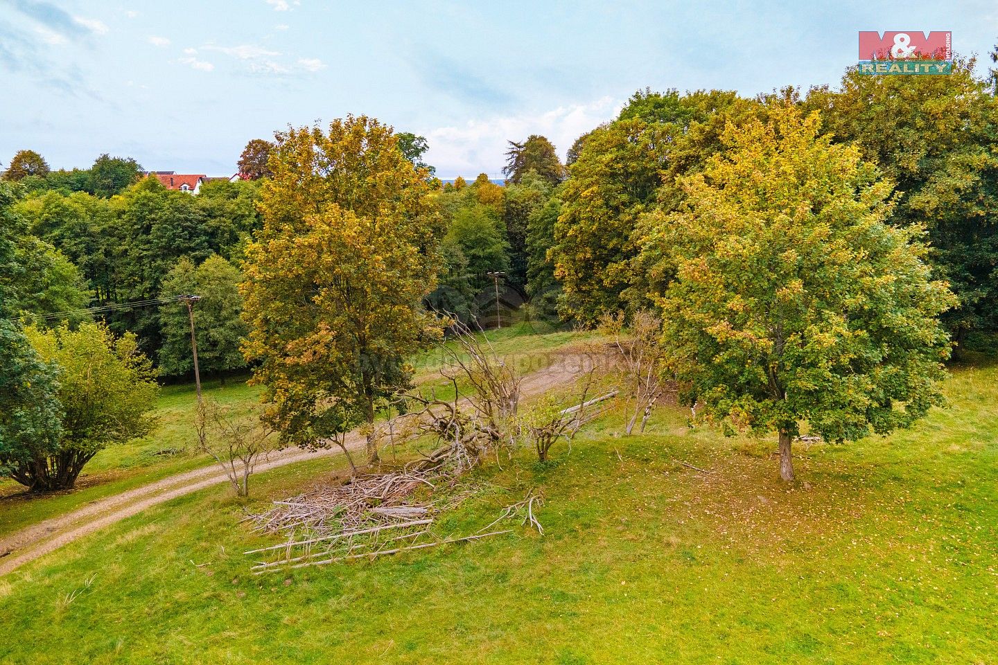 Pozemek · Luby, okres Cheb - 4