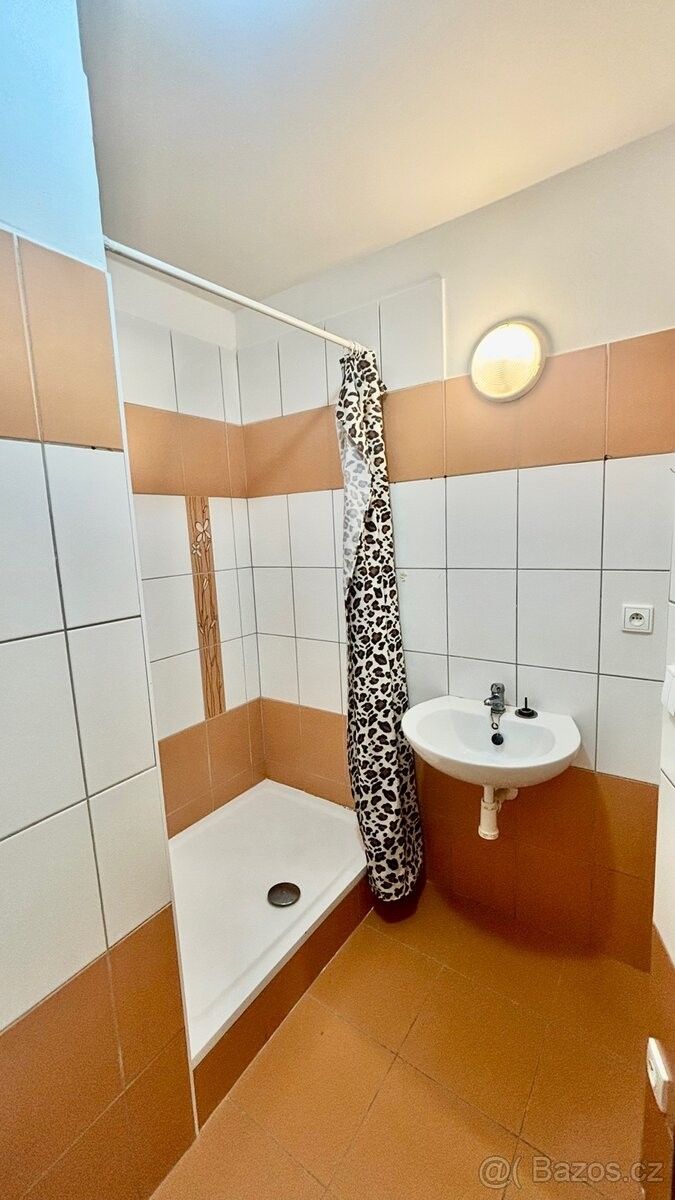 Byt · Strašice, 338 45 - 4