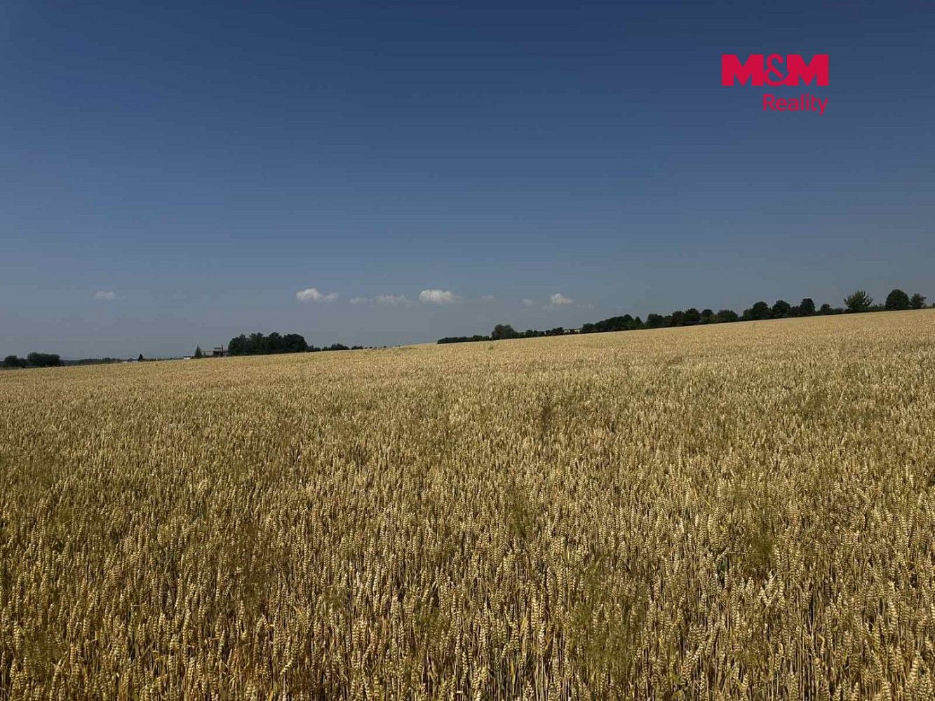 Zemědělské pozemky, Město Albrechtice, okres Bruntál, Moravskoslezský kraj - 2
