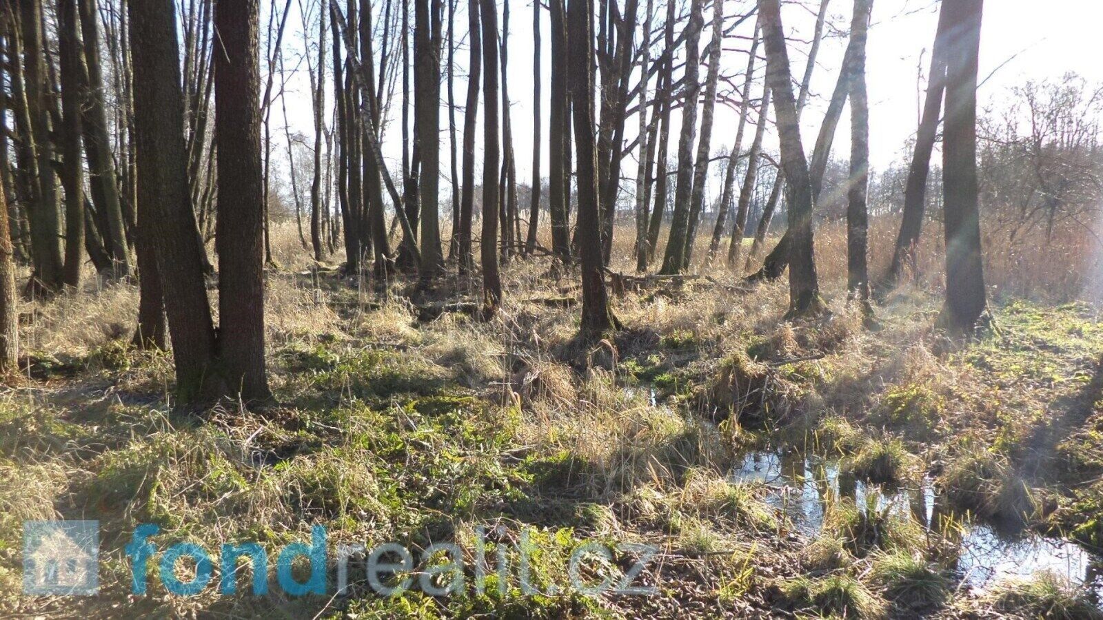 Pozemek · 41 773 m² · Čejetice Sudoměř - 4