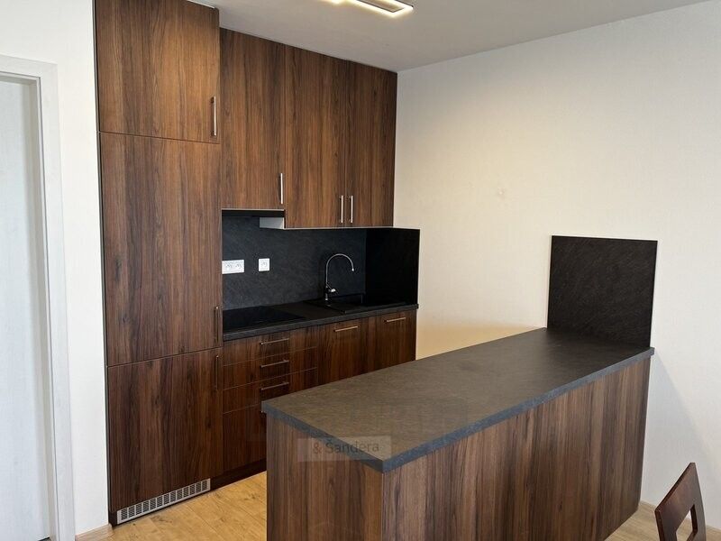 Pronájem byt - České Budějovice, 370 01