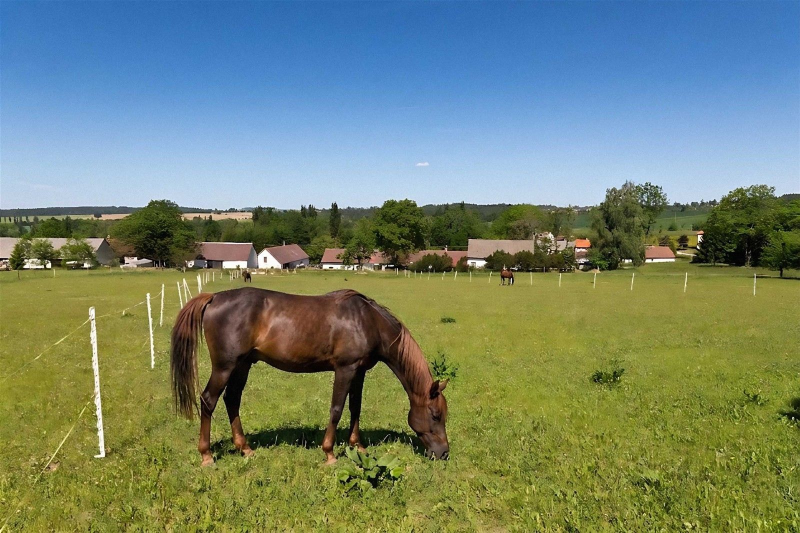 Rodinný dům · 105 m² · Mnich Mirotín - 4
