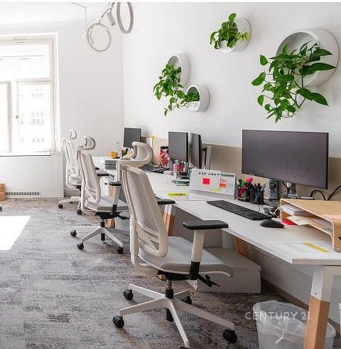 Obchodní prostory, Praha - Nové Město, Hlavní město Praha, 503 m² - 2