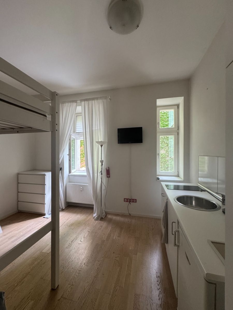 1+kk, Bořivojova, Praha - Žižkov, 22 m² - 1