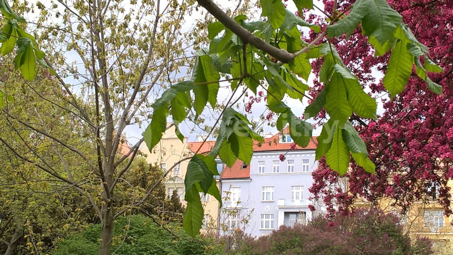Byt 1+kk · 35 m² · U Havlíčkových sadů, Praha - Vinohrady - 3