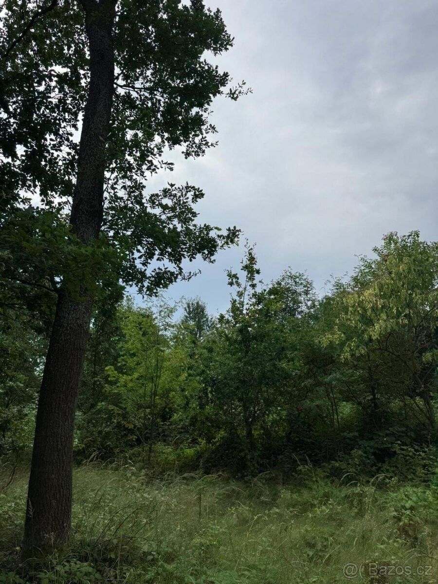 Prodej pozemek pro bydlení - Týn nad Vltavou, 375 01