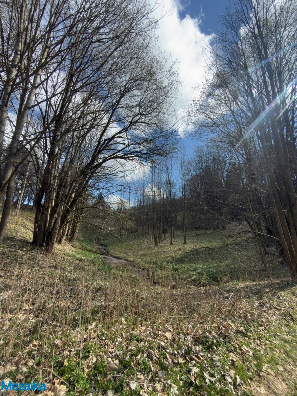 Louky, Výprachtice, 9 974 m² - 1