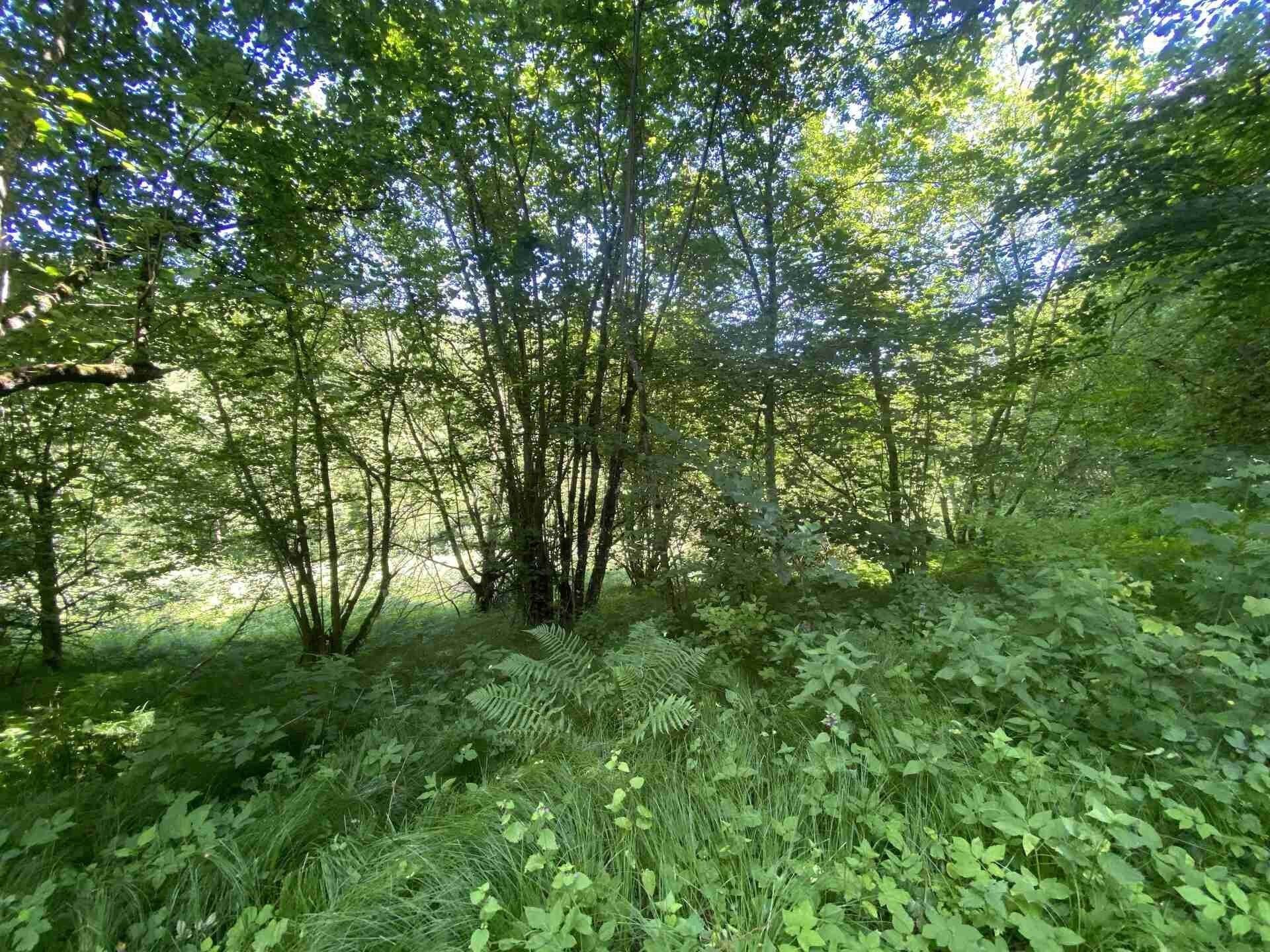 Ostatní, Hartmanice, 3 m²