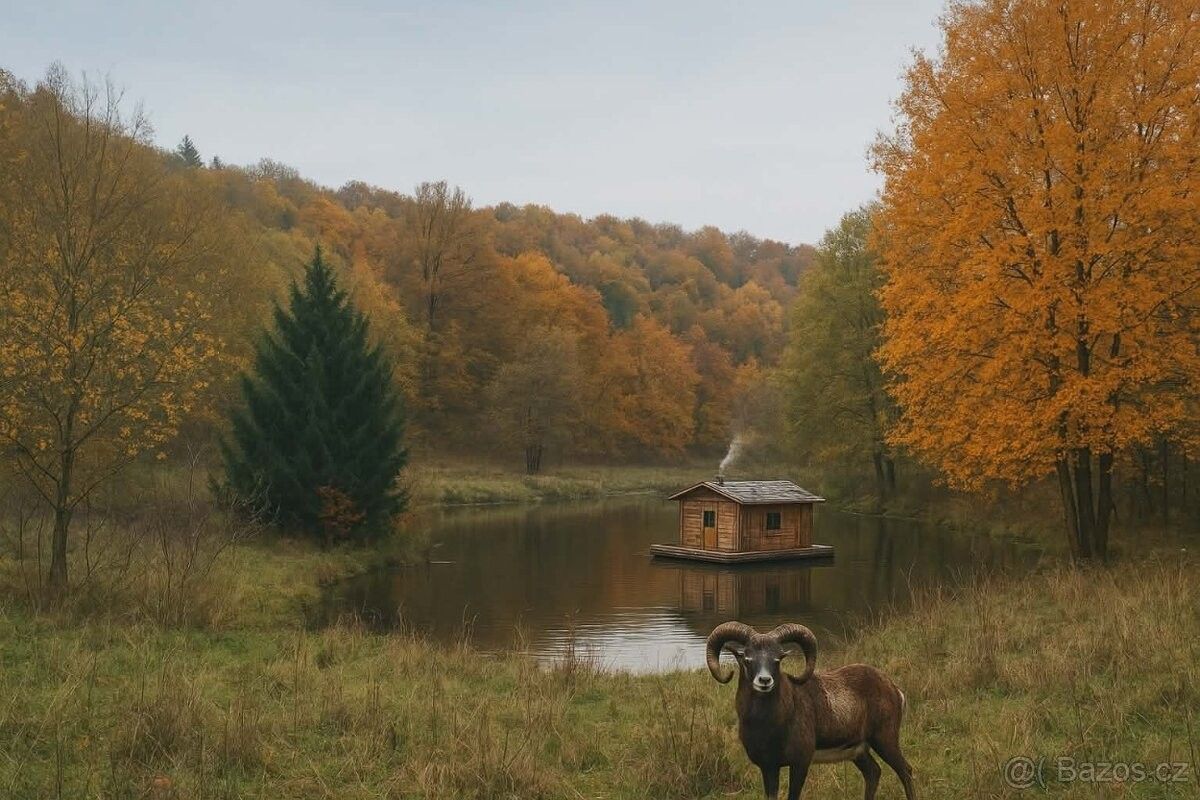 Pozemky pro bydlení, Brno, 602 00