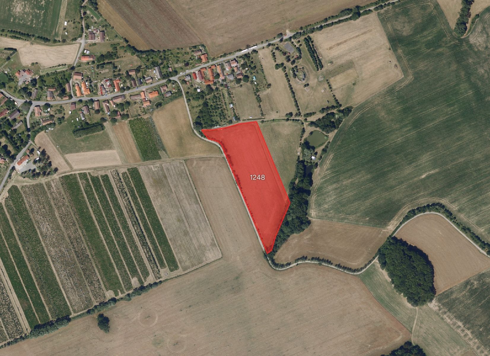 Zemědělský pozemek, 8 006 m²