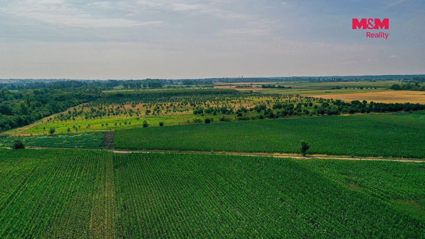 Prodej zemědělský pozemek - Rakvice, okres Břeclav - 5