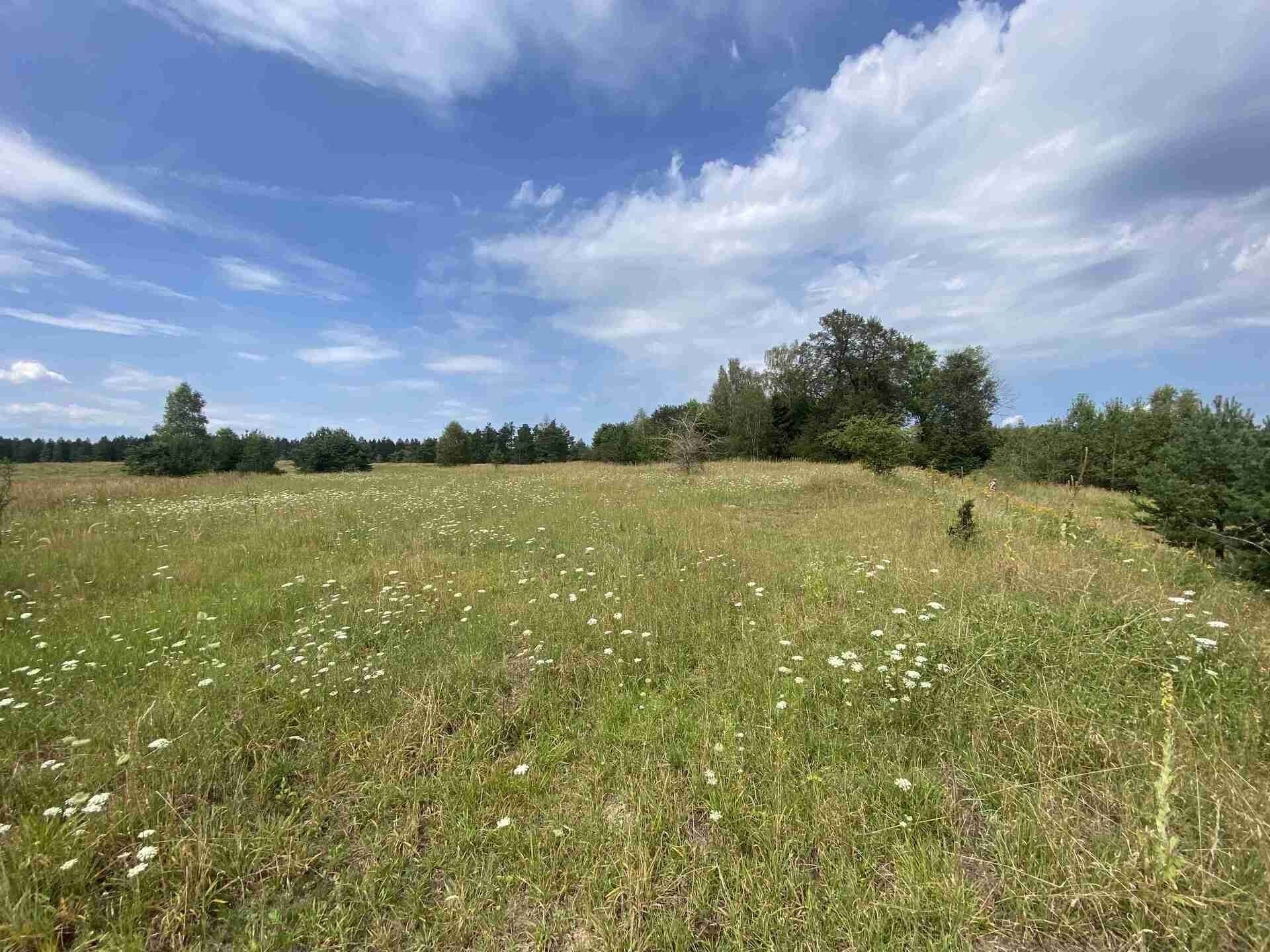 Ostatní, Nová Ves u Klikova, Rapšach, 6 m²