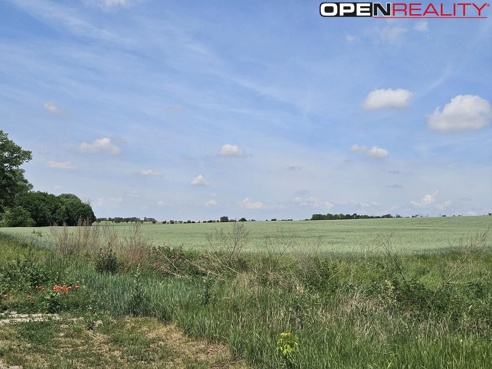 Ostatní