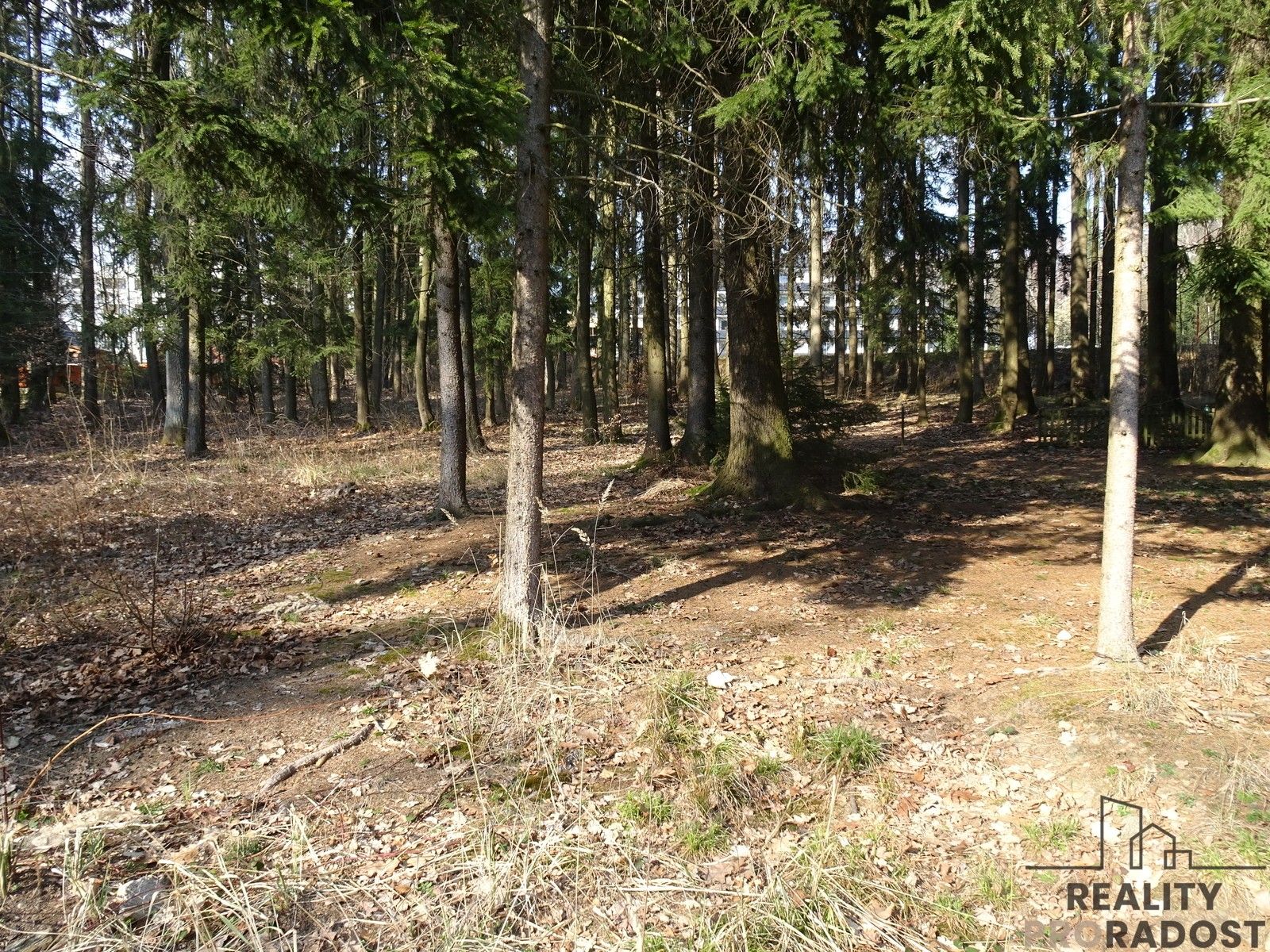 Prodej les - Seč, 637 m² - 5