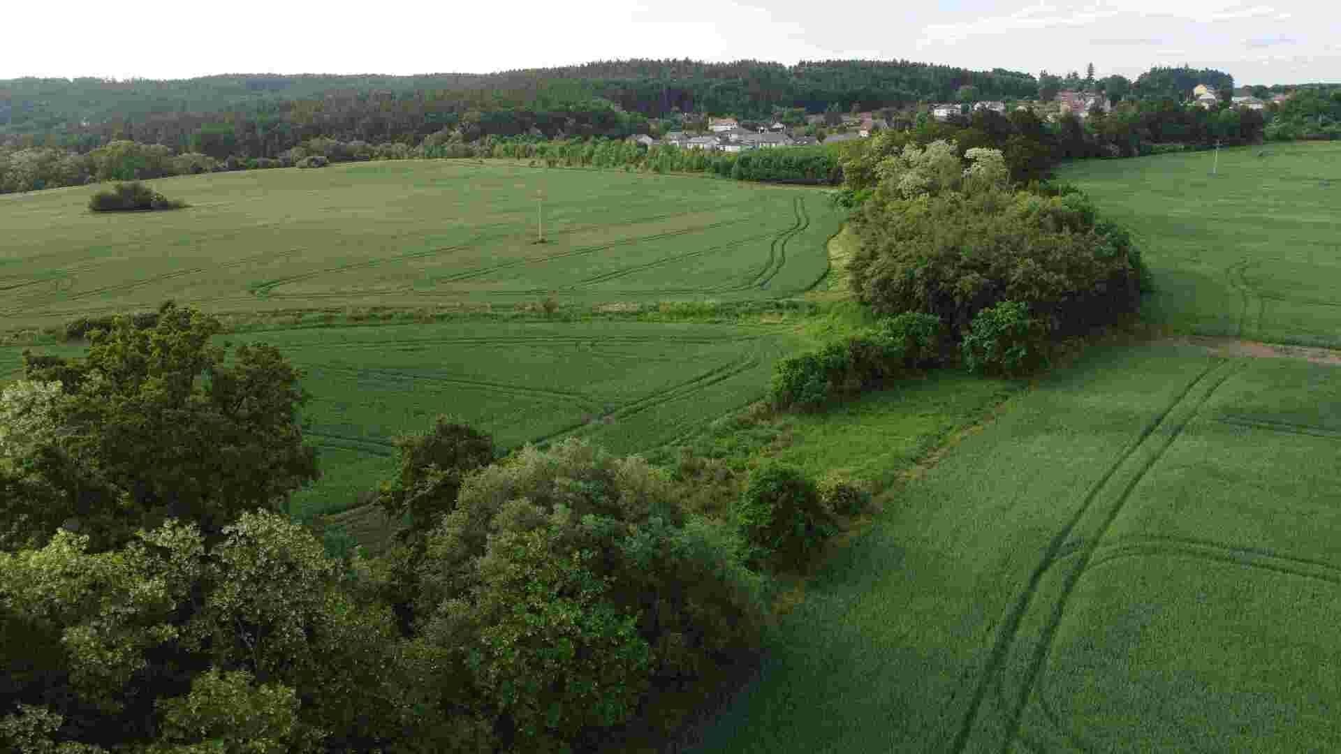 Prodej zemědělský pozemek - Rakovník, 5 m²