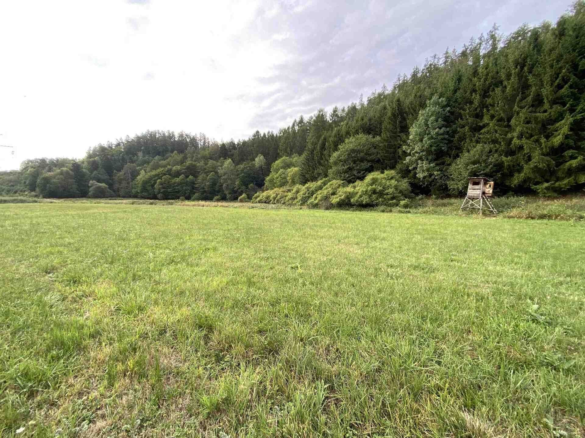 Zemědělské pozemky, Vranová Lhota, 2 289 m² - 2