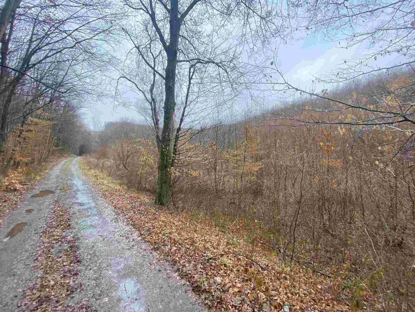Zemědělské pozemky, Ždánice, okres Hodonín, Jihomoravský kraj