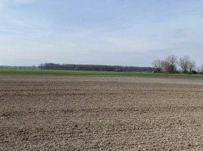 Prodej zemědělský pozemek - Opatovice nad Labem, 533 45