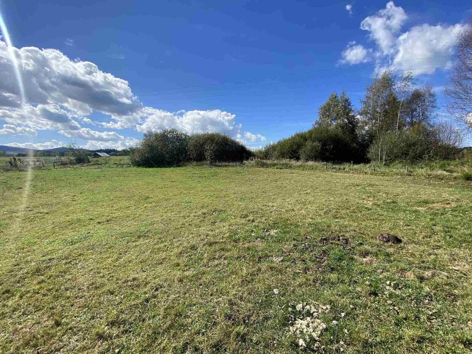 Pozemek · 6 764 m² · Horní Stropnice Rychnov u Nových Hradů - 3