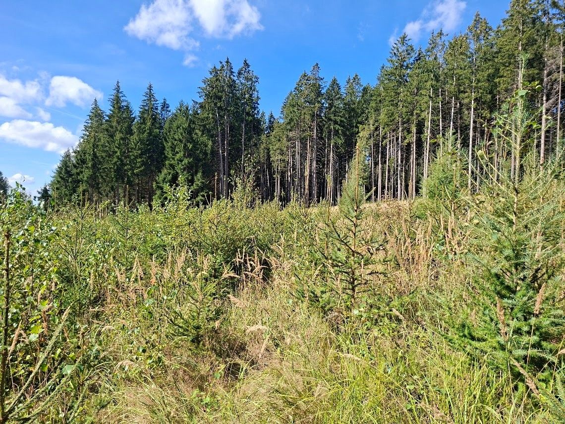 Pozemek pro bydlení · Těmice u Kamenice nad Lipou, 394 96 - 4