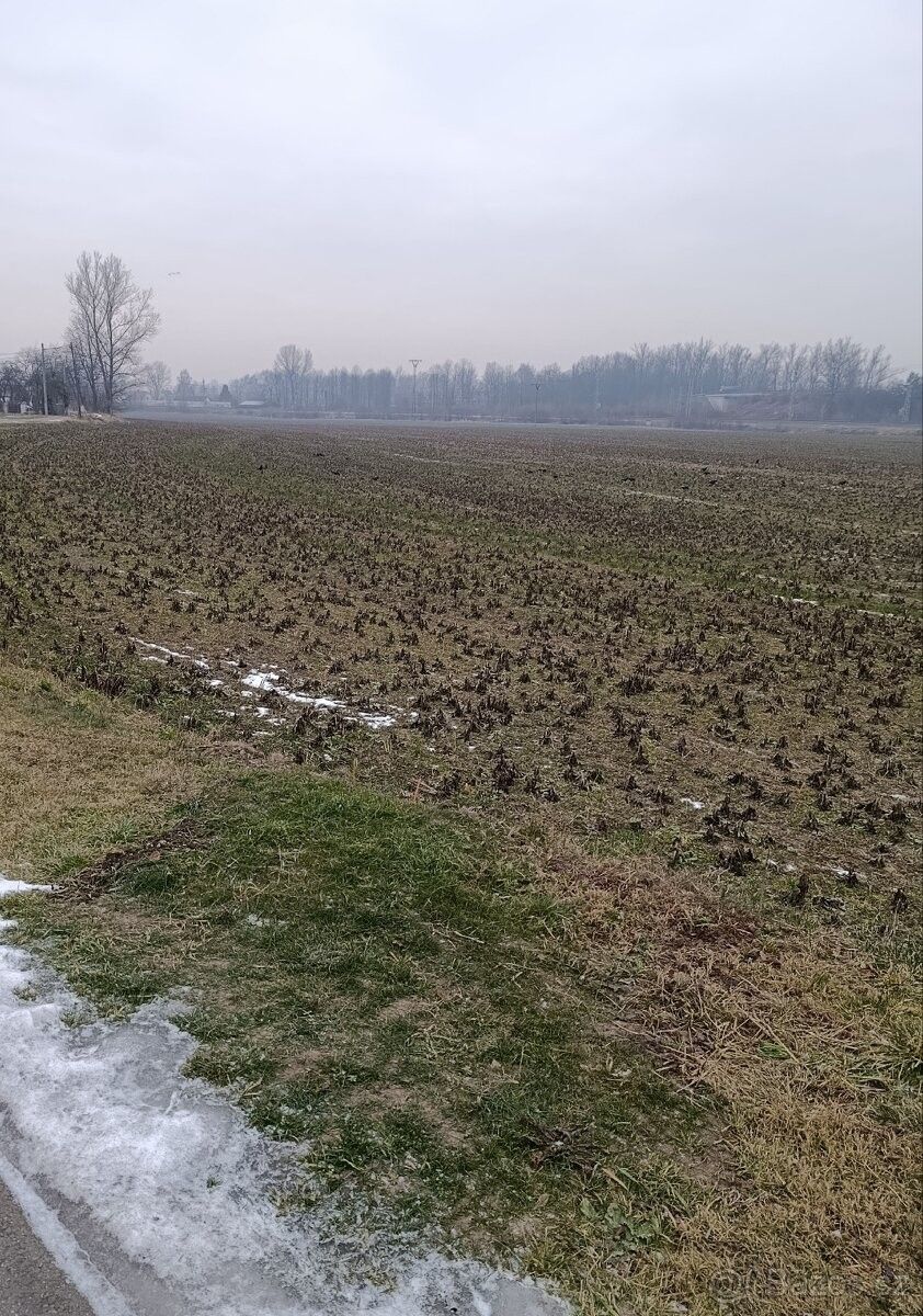 Prodej pozemek pro bydlení - Dětmarovice, 735 71