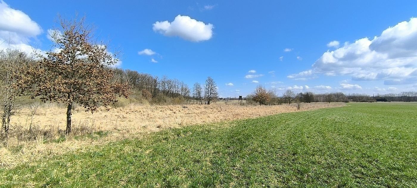 Prodej zemědělský pozemek - Anglická, Františkovy Lázně