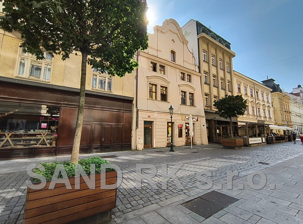 Pronájem obchodní prostory - Riegrova, Plzeň, 50 m² - 5