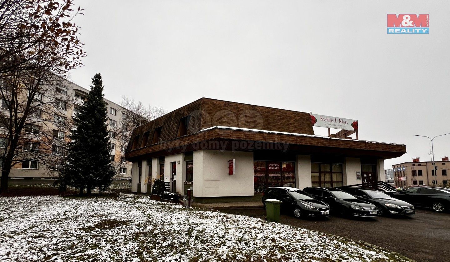 Kanceláře, Sokolovská, Rychnov nad Kněžnou, 303 m²