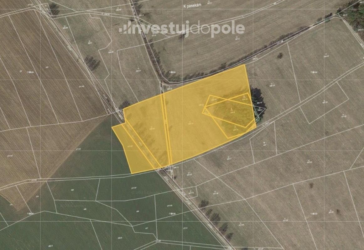 Prodej louka - Borová u Poličky, 569 82, 17 425 m²