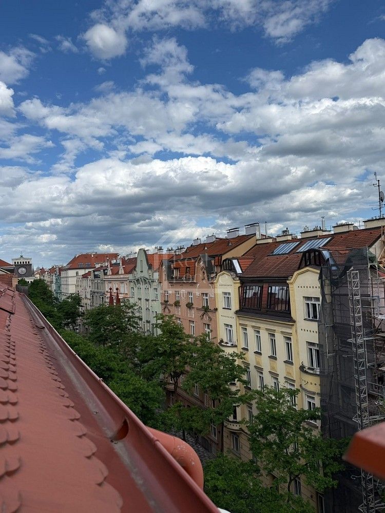 3+kk, Třebízského, Praha 2 - Vinohrady, 124 m² - 1