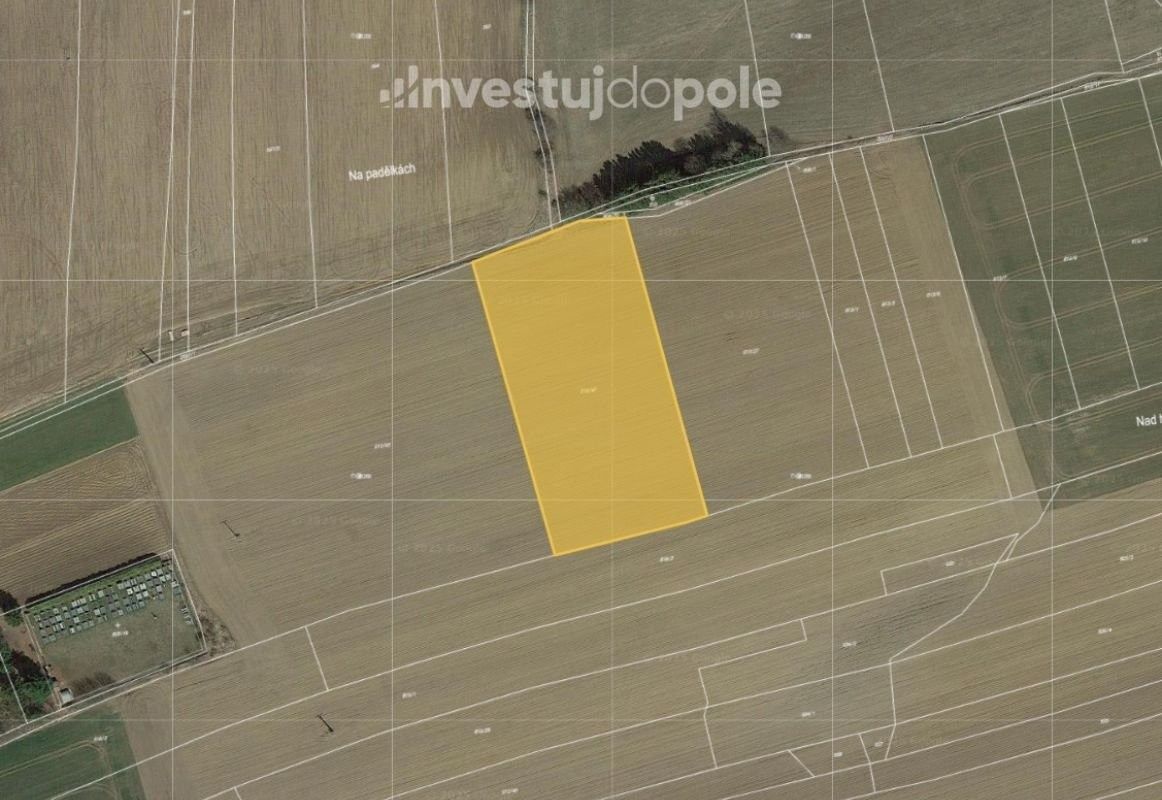 Prodej zemědělský pozemek - Pacov, 395 01, 9 951 m²