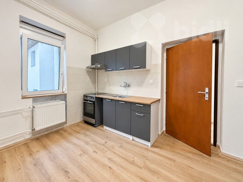 Pronájem byt 1+1 - J. E. Purkyně 1512, Nový Bydžov, 44 m² - 5