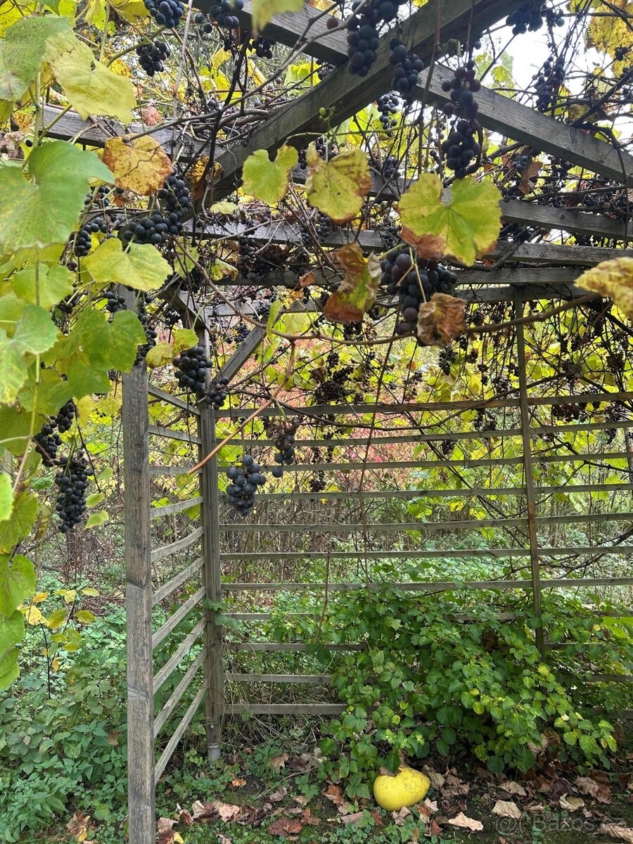 Prodej zahrada - Karviná, 734 01 - 5