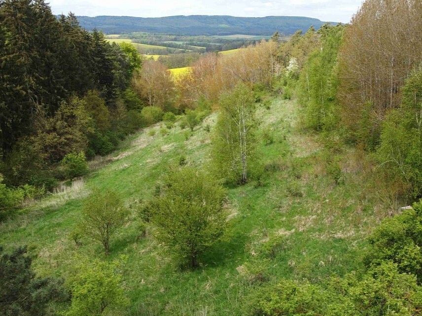 Louka · Křenov - 3