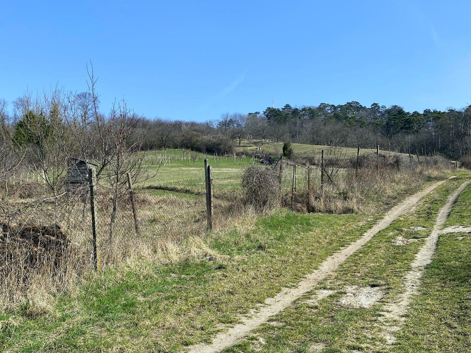 Prodej zahrada - Nová 1, Mikulov, 1 043 m² - 5